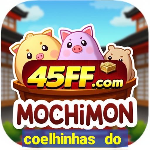 coelhinhas do brasil acompanhantes